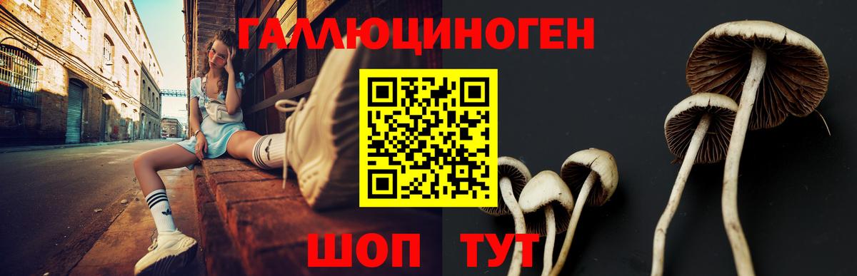 Лсд 25  Кокаин  Меф   Вход с VPN  MDMA  Канабис  Знаменск  ЭКСТАЗИ  ТГК  ГАШИШ 